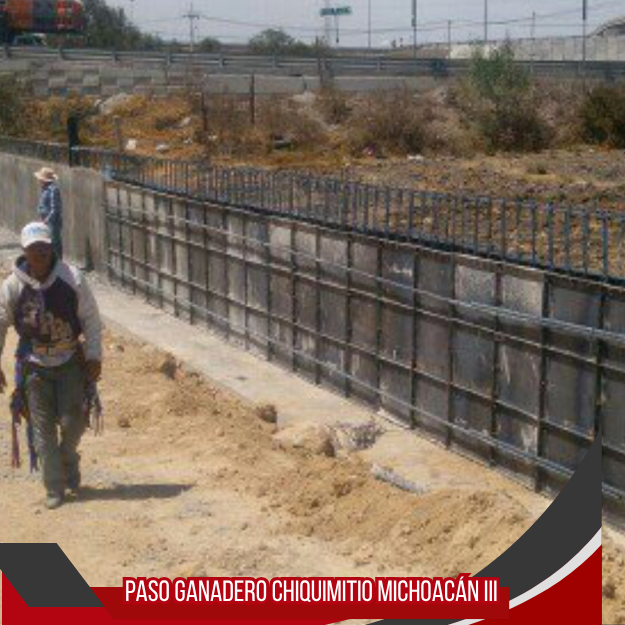 PASO GANADERO CHIQUIMITIO MICHOACÁN III