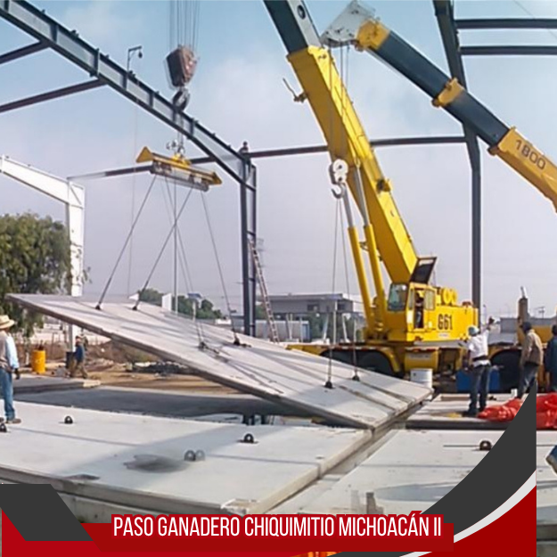 PASO GANADERO CHIQUIMITIO  MICHOACÁN II