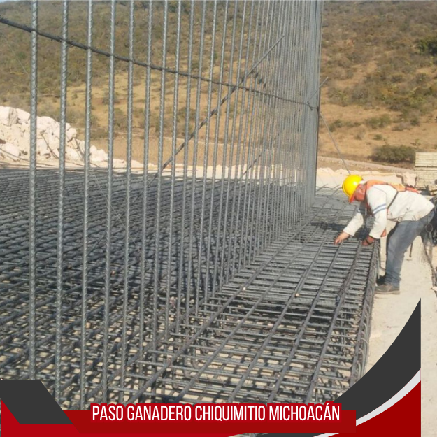 PASO GANADERO CHIQUIMITIO MICHOACÁN